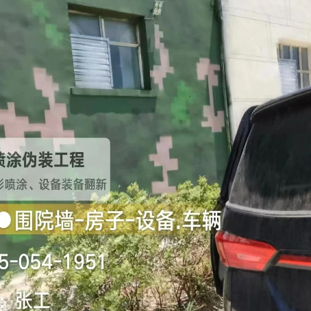 湖州数码迷彩漆施工